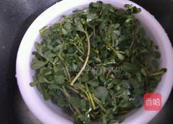 马齿苋饼的做法图解1