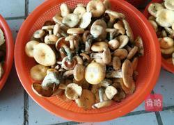 枞树菌炖肉丸的做法图解1