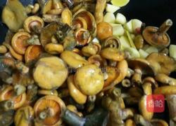 枞树菌炖肉丸的做法图解11
