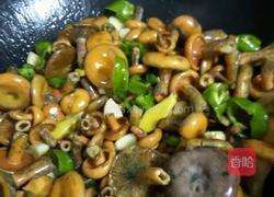 枞树菌炖肉丸的做法图解13