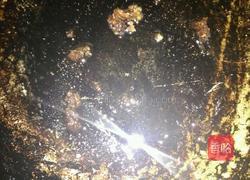 酱烧鸡翅根的做法图解2