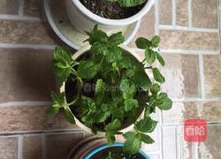 绿豆薄荷汤的做法图解3