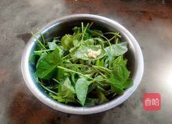 炒番薯叶的做法图解1