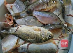 野生鲫鱼豆腐汤的做法图解1