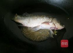 鲫鱼冬瓜汤的做法图解4