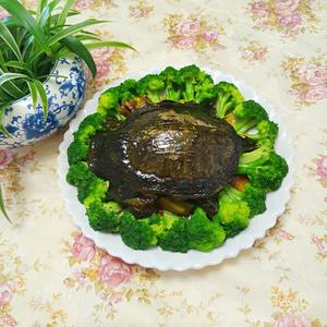 红烧甲鱼