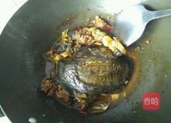红烧甲鱼的做法图解8