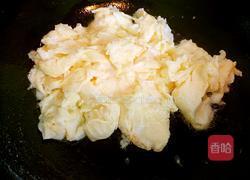 番茄鸡蛋的做法图解4
