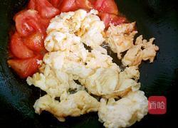 番茄鸡蛋的做法图解6