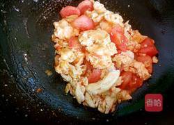 番茄鸡蛋的做法图解7