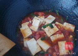 西红柿炖豆腐的做法图解7