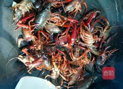 炒龙虾的做法图解4