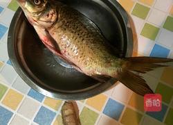 清炖鲫鱼汤的做法图解1