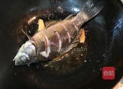 清炖鲫鱼汤的做法图解4