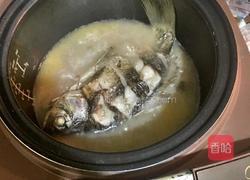 清炖鲫鱼汤的做法图解7