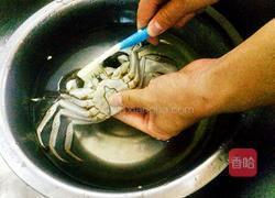 麻辣砂锅螃蟹的做法图解3