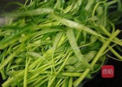 炒空心菜的做法图解5