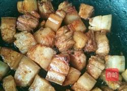 红烧猪肉的做法图解5