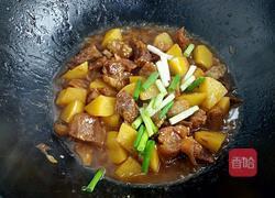 土豆炖牛腩的做法图解8