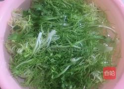 牛油果蔬菜沙拉的做法图解1