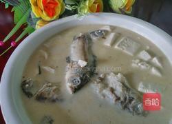 野生鲫鱼豆腐汤的做法图解8
