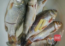 野生鲫鱼豆腐汤的做法图解3
