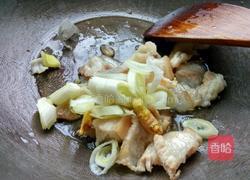 猪肉炖粉条的做法图解5