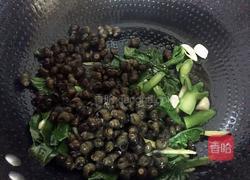 芥蓝炒田螺的做法图解4