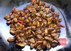 辣椒炒蚕蛹的做法图解4