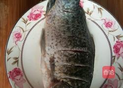 红烧鲤鱼的做法图解3