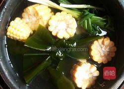 排骨玉米海带汤的做法图解5