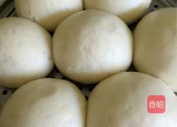 蒸馒头的做法图解6