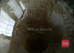 Egg Fried Rice Recipe Illustration 3