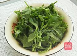 蒜蓉穿心莲的做法图解2