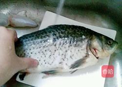 醋焖鲫鱼的做法图解2