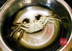 大闸蟹的做法图解1