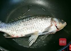 通草鲫鱼汤的做法图解5