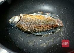 通草鲫鱼汤的做法图解6