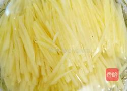 泡菜土豆丝的做法图解4
