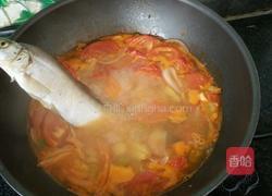 西红柿炖鱼的做法图解6