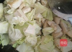 包菜炖豆腐的做法图解3