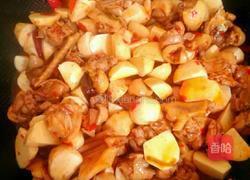 芋儿烧鸭的做法图解7