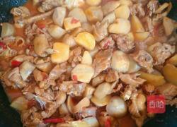芋儿烧鸭的做法图解9