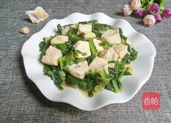 油麦菜炖豆腐的做法图解10
