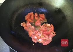 西红柿牛腩的做法图解11