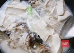 鱼头豆腐的做法图解8