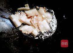 干锅手撕包菜的做法图解4