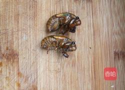 油炸知了猴的做法图解1