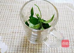 薄荷茶的做法图解2