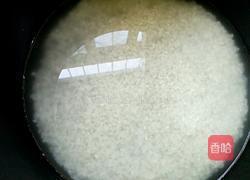 包菜饭的做法图解2